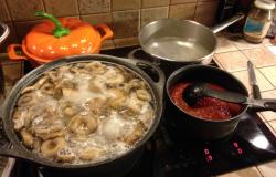 Грузди в томатном соусе на зиму: рецепты приготовления Белые грузди в томатном соусе